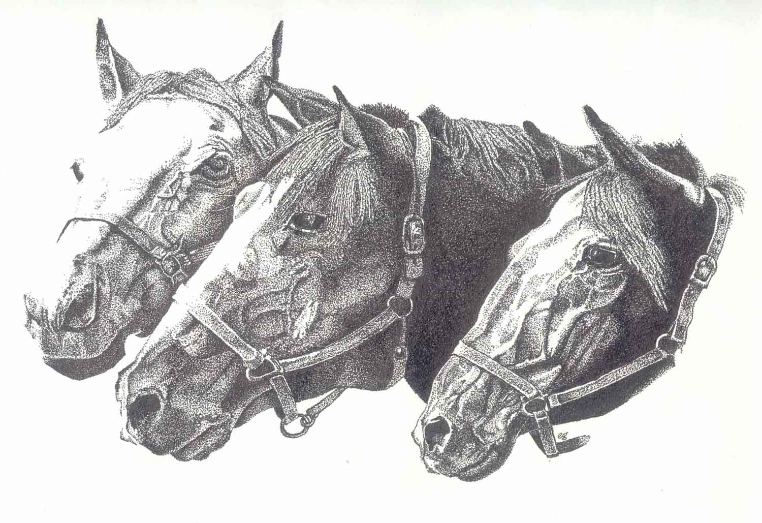 Horses Heads - Ink Pointillism